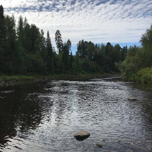 Люблю курить