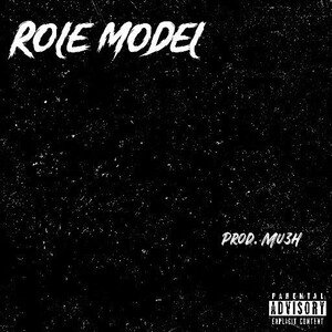 no role models