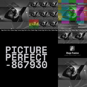 Picture Perfect -867930