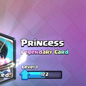 princesse