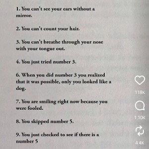 Complicated_Shit_-_U17 