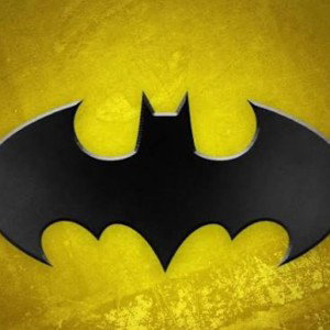 chauve souris dans la nuit 