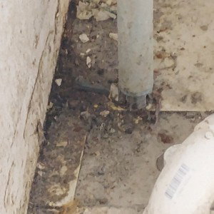 n**** you still scummy beat your hoes never better than nothing