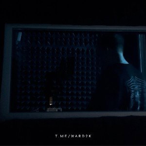 ПАЛАТА - Сторителлинг