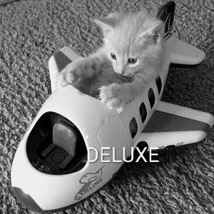 PLAIN (DELUXE)