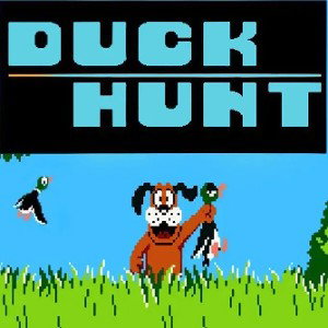 Duck Hunting 🦆