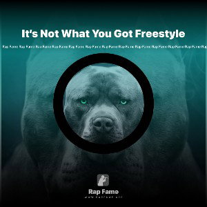 It’s Not What You Got Freestyle 