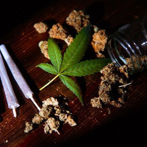 mente sana 🍁 JONAI
