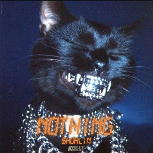 $Hoalin - nothing -