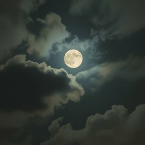 حالم گرفته 