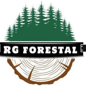 Rg forestal song