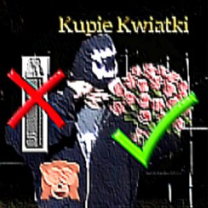 KUPIE KWIATKI