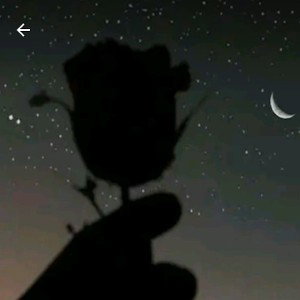 lost my love 