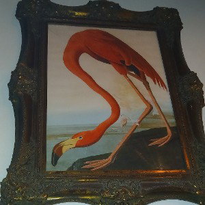 hegmac