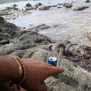 El talax