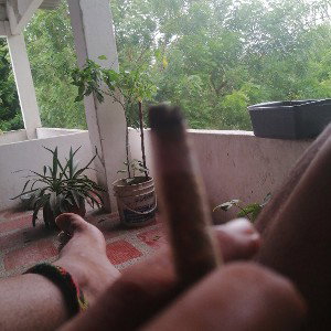 estamos donw 
