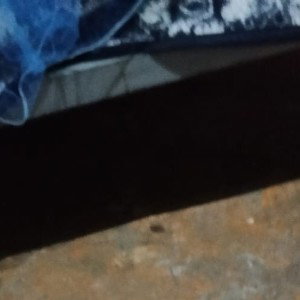 Maliante 