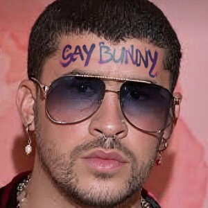 Gay Bunny