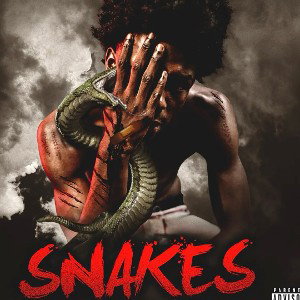 Snakes