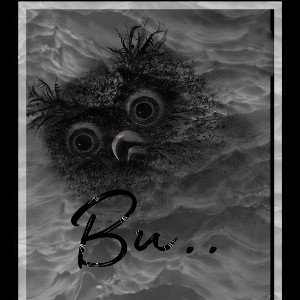 Bu..