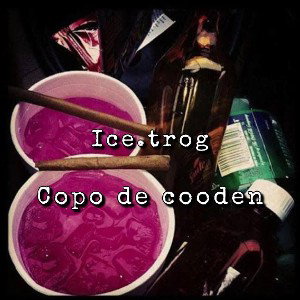 copo de cooden 