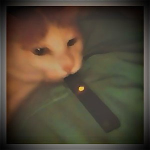 Deathbed (remix)