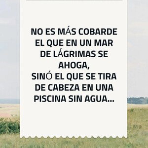 He vuelto