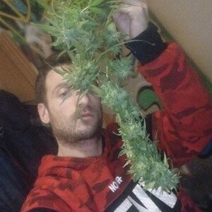 ttengo420