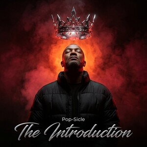 The Introduction 