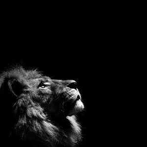 Mon Ramba
