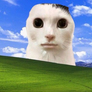 sah c vrm nul