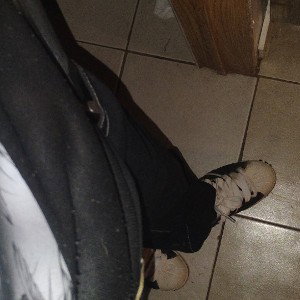 freestyle