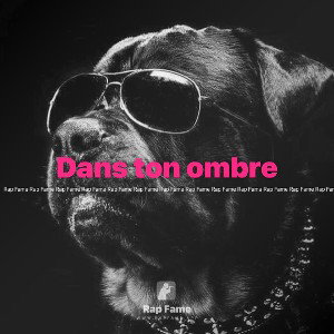 Dans ton ombre 