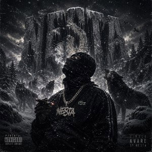 Nesta - Avare (Concours)