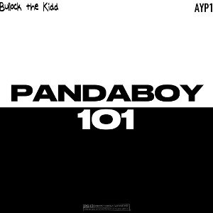 PANDABOY 101