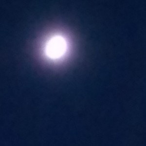Moonlight 