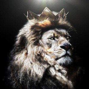 DJ Xerxes mix