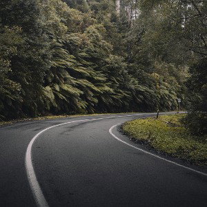 Vulia (Freestyle)
