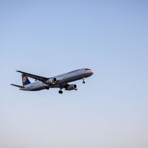 Fly High 