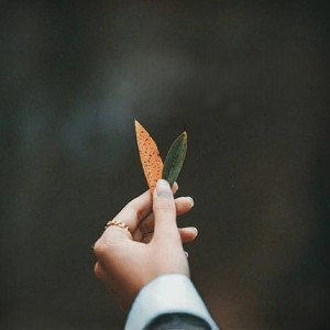 صبر