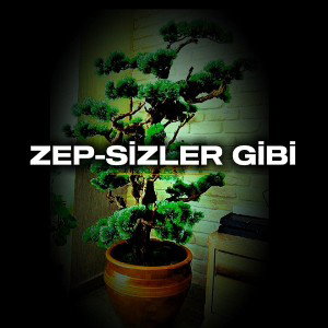 Zep-Sizler Gibi (official audio)