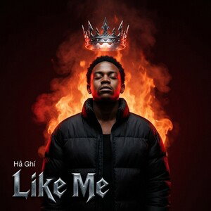 Like Me