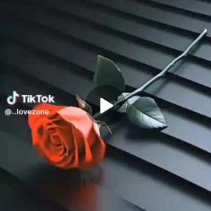 DJ EX951_07076332074irkt