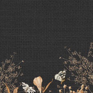 FXERCE - Catchin’ Strays
