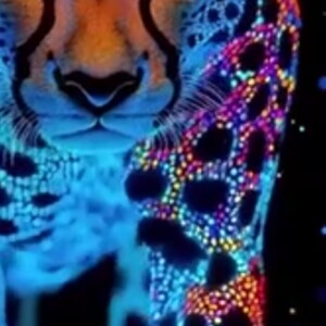 Blue Fire 