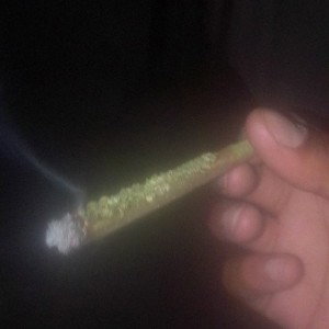 DA LEO ON DA GO