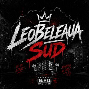 LeoBeleaua-Sud