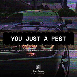 You Just A Pest
