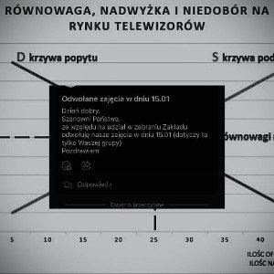 Ćwikła (sad bruno 2)