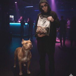 Pitbull